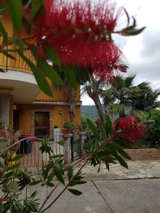 Bed and Breakfast San Pietro à Mileto Extérieur photo